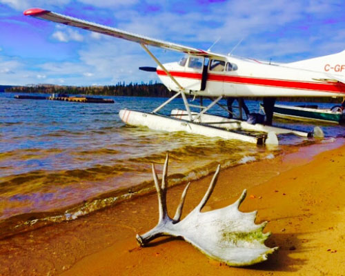 Cessna Remote Fly-In Moose Hunting
