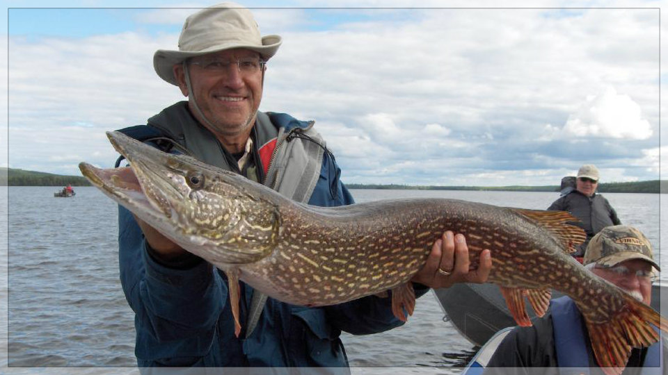 What Do Northern Pike Eat?